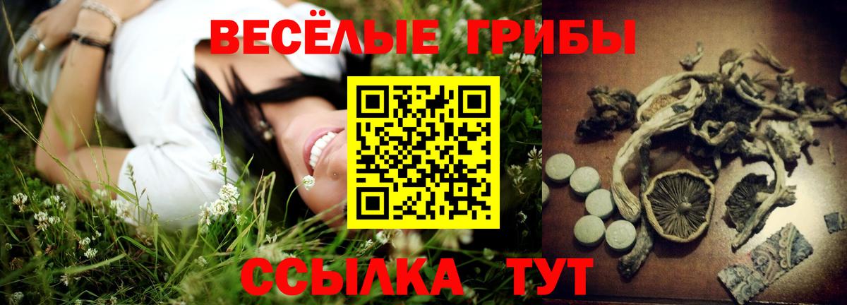 Галлюциногенные грибы GOLDEN TEACHER  Вход с VPN  Москва 