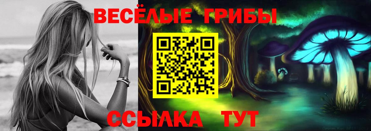 Галлюциногенные грибы ЛСД Москва